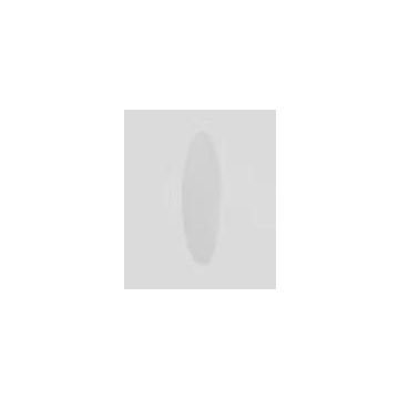 Bega Optical filter Technische Accessoires transparant-1