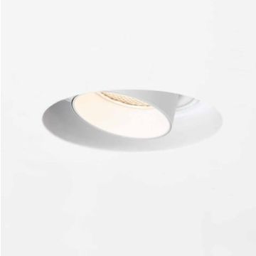 Brick in the Wall 200Cent Pro Adj Trimless 700LM IP54 2700°K 26° SILVERBRONZE Downlighters zilver-1