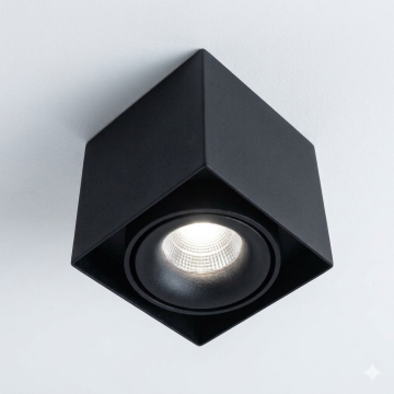 Brink V-merk Demis 1-lichts 940 38º 850lm Triac Richtbaar Downlighters zwart-1