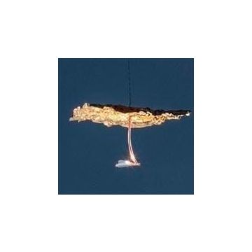 Catellani & Smith Gold Moon JC, Pendant lamp Hanglamp goud/messing-1
