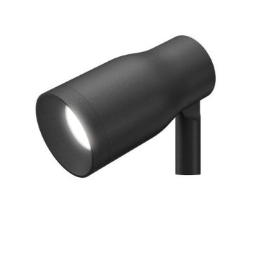 Flos Landlord Spot Ø50 PWM Dimmable Black Buiten Prikspots zwart-1