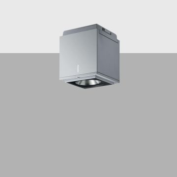 iGuzzini EQ12 155mm ceiling mounted Plafond Tuinverlichting lichtgrijs-1