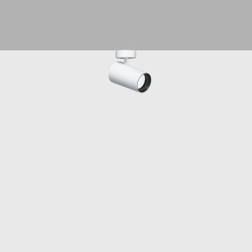 iGuzzini Palco Recessed Surface - Palco single surface Ø51 spot remote dr Spot wit