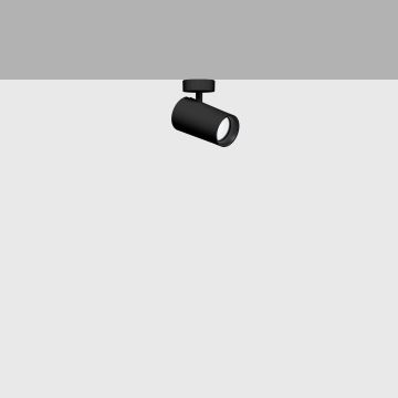 iGuzzini QC50 Palco Recessed Surface - Palco single surface Ø51 spot remo Spot zwart