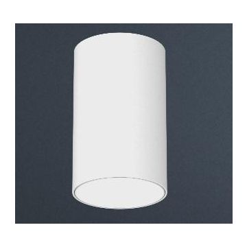 Prolicht Invader On Ø75x125 SR SP LED 3000K 60°beam 9.8W 863lm Dali Trafo's  ballast wit-1