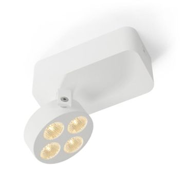 Trizo21 Mini-Pi Spot wit-1