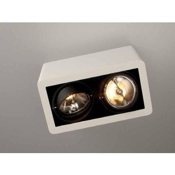 Trizo21 R70 UP opbouwspot Spot wit-1