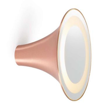 Trizo21 Sirens W/C Frosted Glass 210 Wandlamp koper-1
