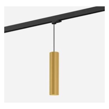 Wever & Ducré RAY SUSP ON TRACK 3-PHASE 3.0 PAR16 G Rails, Tracks & Kabelsystem goud/messing-1