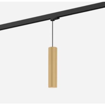 Wever & Ducré RAY SUSP ON TRACK 3-PHASE 3.0 PAR16 M Hanglamp goud/messing-1