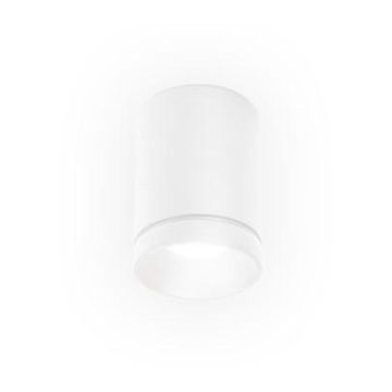 Wever & Ducré TAIO IP65 CEILING SURF 1.0 LED 2700K W Spot wit-1